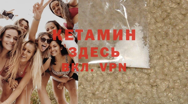хмурый Аркадак