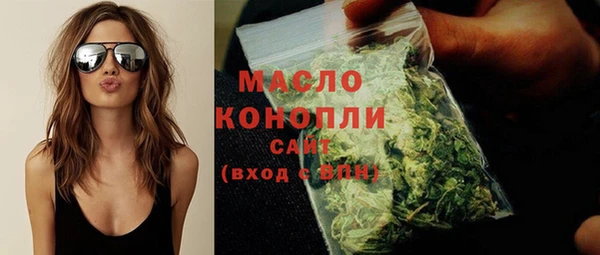 хмурый Аркадак