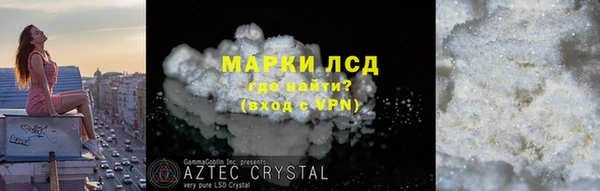 хмурый Аркадак