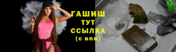 хмурый Аркадак