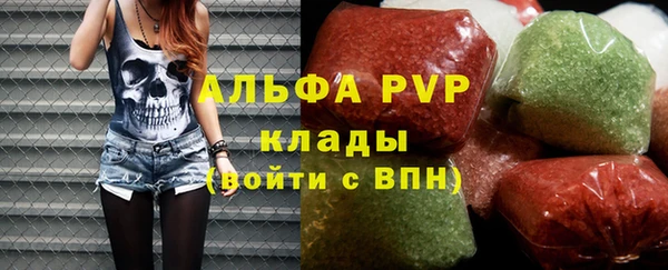 хмурый Аркадак