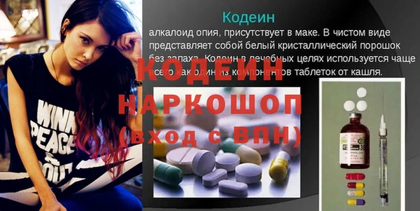 хмурый Аркадак