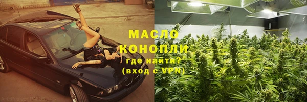 хмурый Аркадак