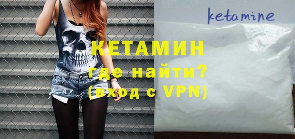 хмурый Аркадак