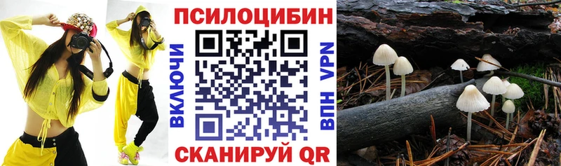 Галлюциногенные грибы Magic Shrooms мориарти наркотические препараты Далматово